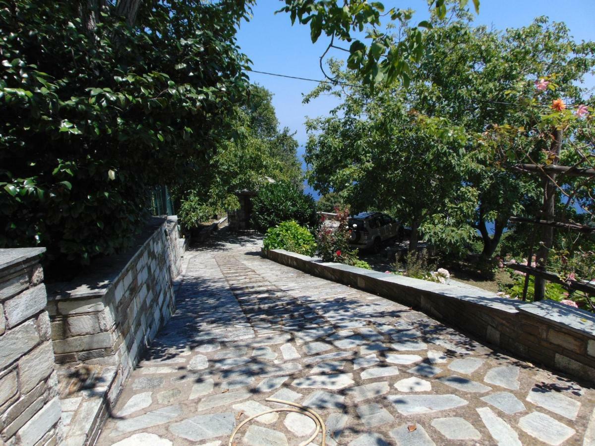 Villa Katerina تساغارادا المظهر الخارجي الصورة