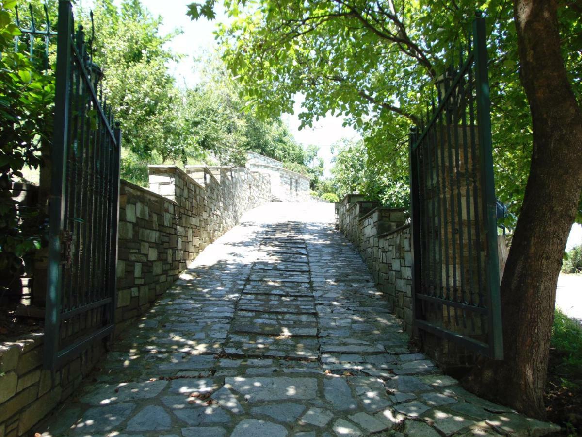 Villa Katerina تساغارادا المظهر الخارجي الصورة